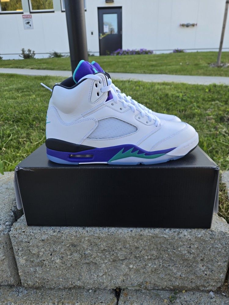 Nike Air Jordan Retro 5 Grape π