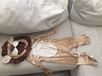 Lion costume