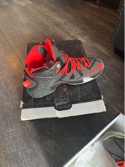LEBRON 12
