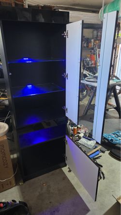 Shelf