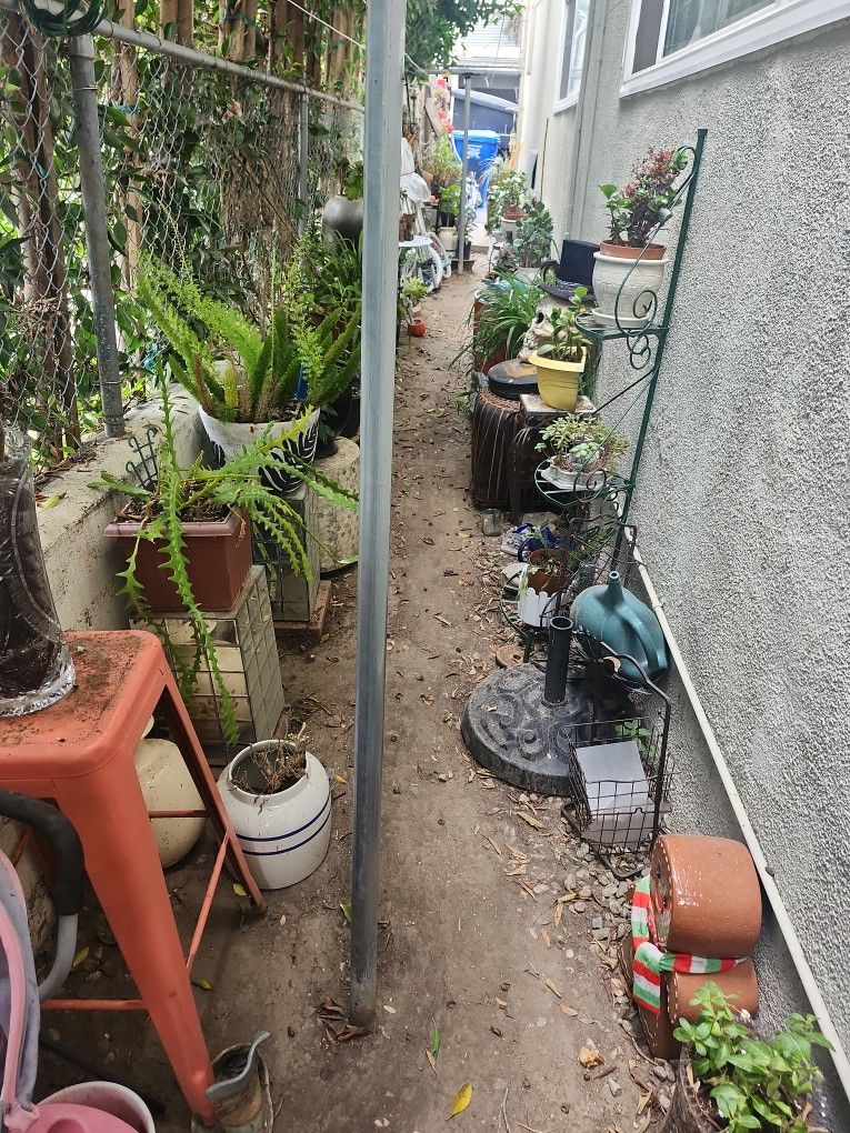 Plant Sale Friday Saturday Sunday