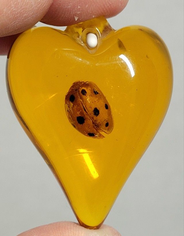 Brand New 2.5" Lady Beetle Encased In Amber-color Resin Pendant Necklace Ready. NO NECKLACE INCLUDED PENDANT ONLY. The object in the image is a resin-