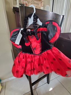 Ladybug costume