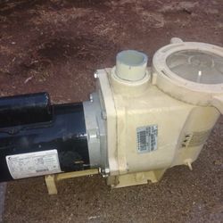 Pool Pumps
