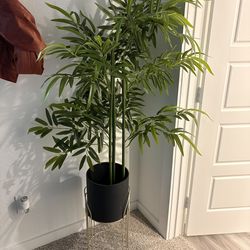 Decor Plant with gold stand