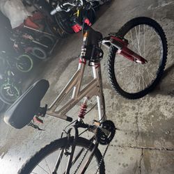 adult Bike 