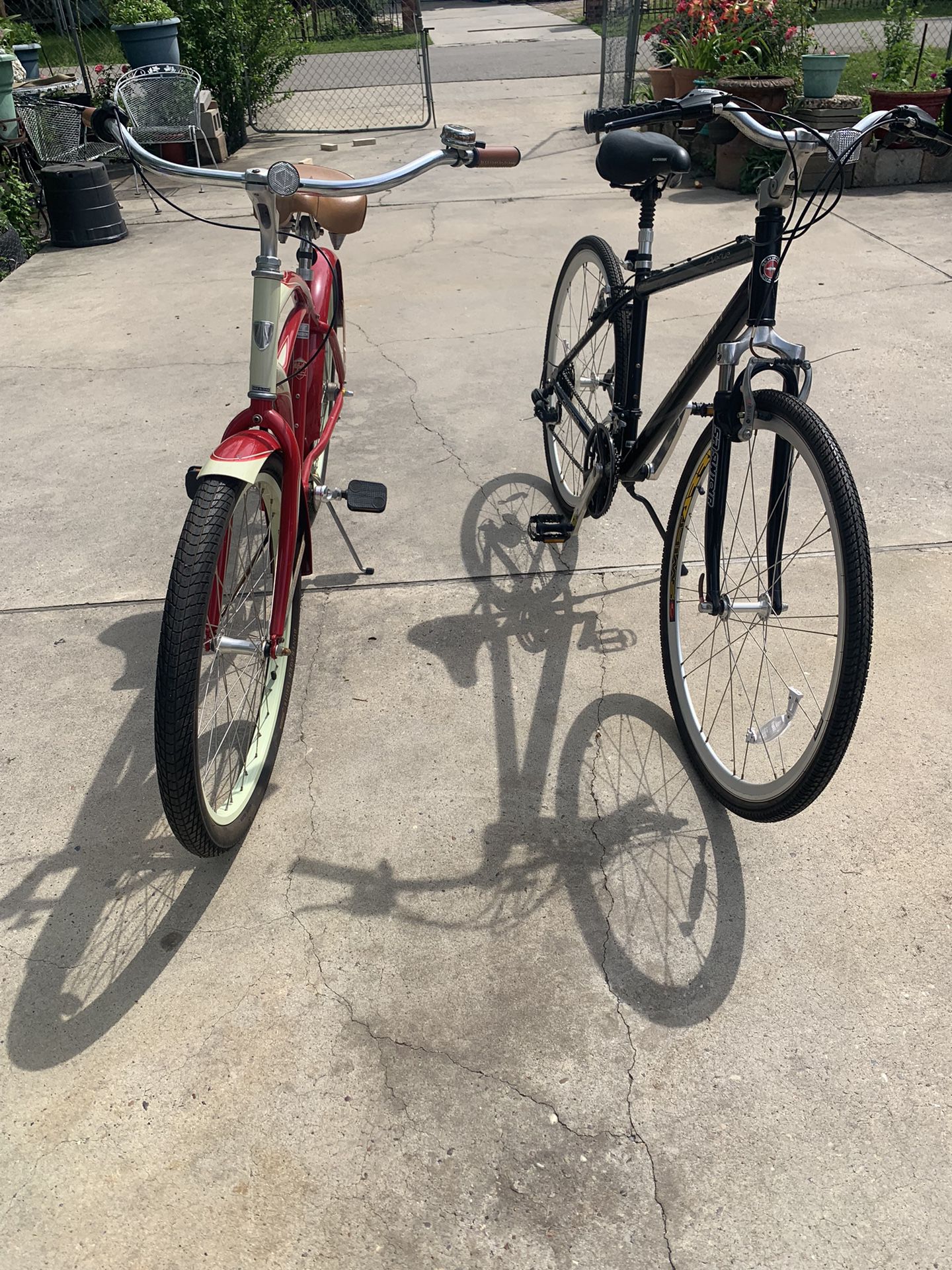Two Bicycle Bundle