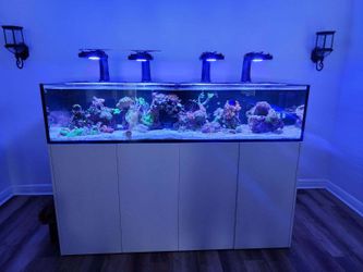 Salt Water Aquarium Waterbox