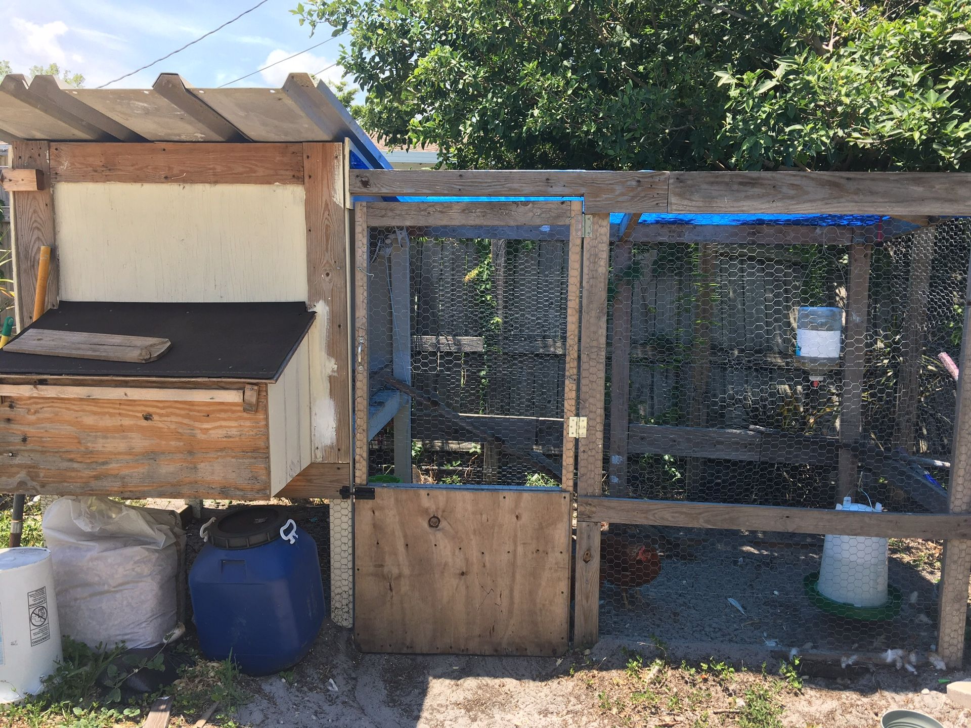 10ft huge chicken coop