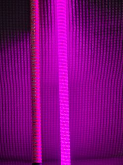 New pair 3ft of LPG led whips for rzr canam sxs