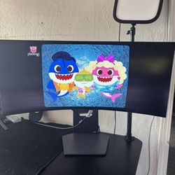 OLED Gaming Monitor