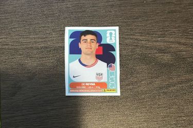 USA panini sticker bundle