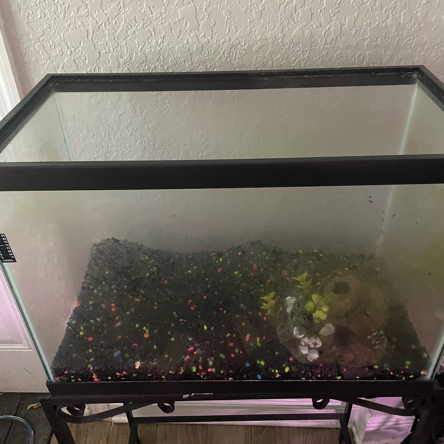 20 Gallon Fish tank With Supplies 