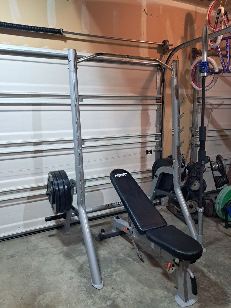 Home Gym / Squat Rack, Olympic Barbell, Bumper Plates And Free Curl Bar
