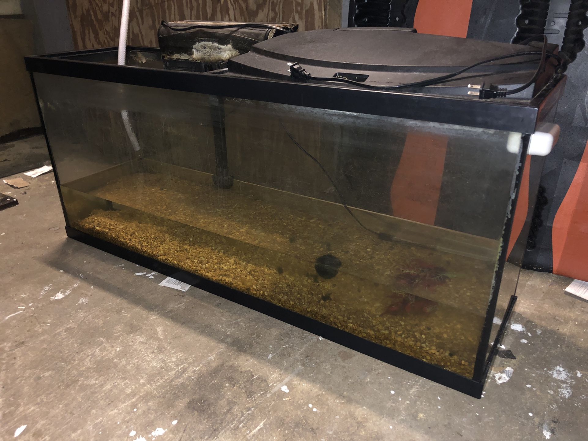 55 Gallons Fish Tank , Aquarium,tempered Glass large Fish Tank 