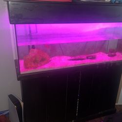 90 Gallon Fish Tank 