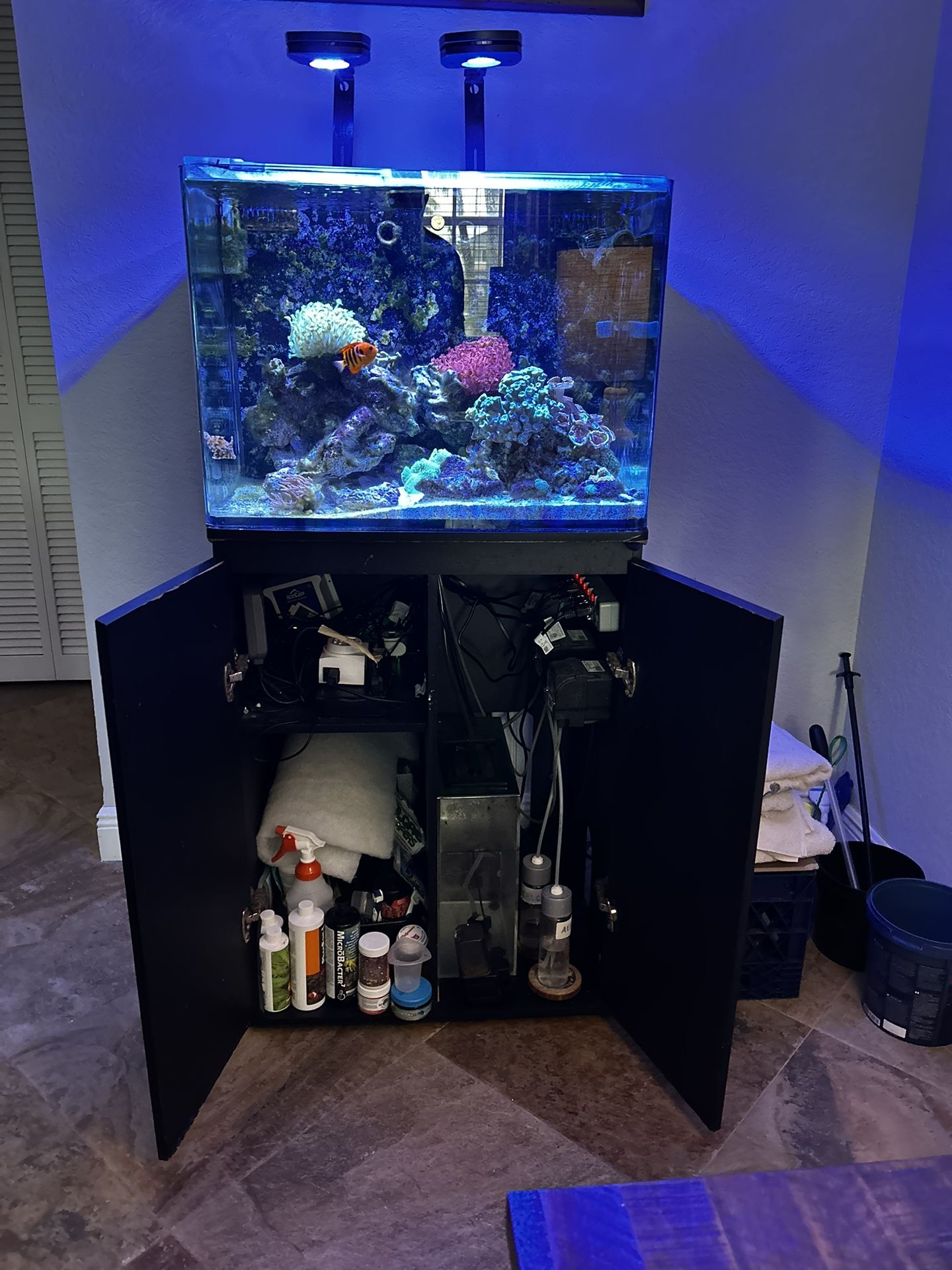 Aquarium - 45 Gal AIO