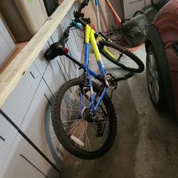Teen Bike For Sale