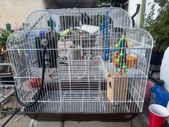 Bird cages