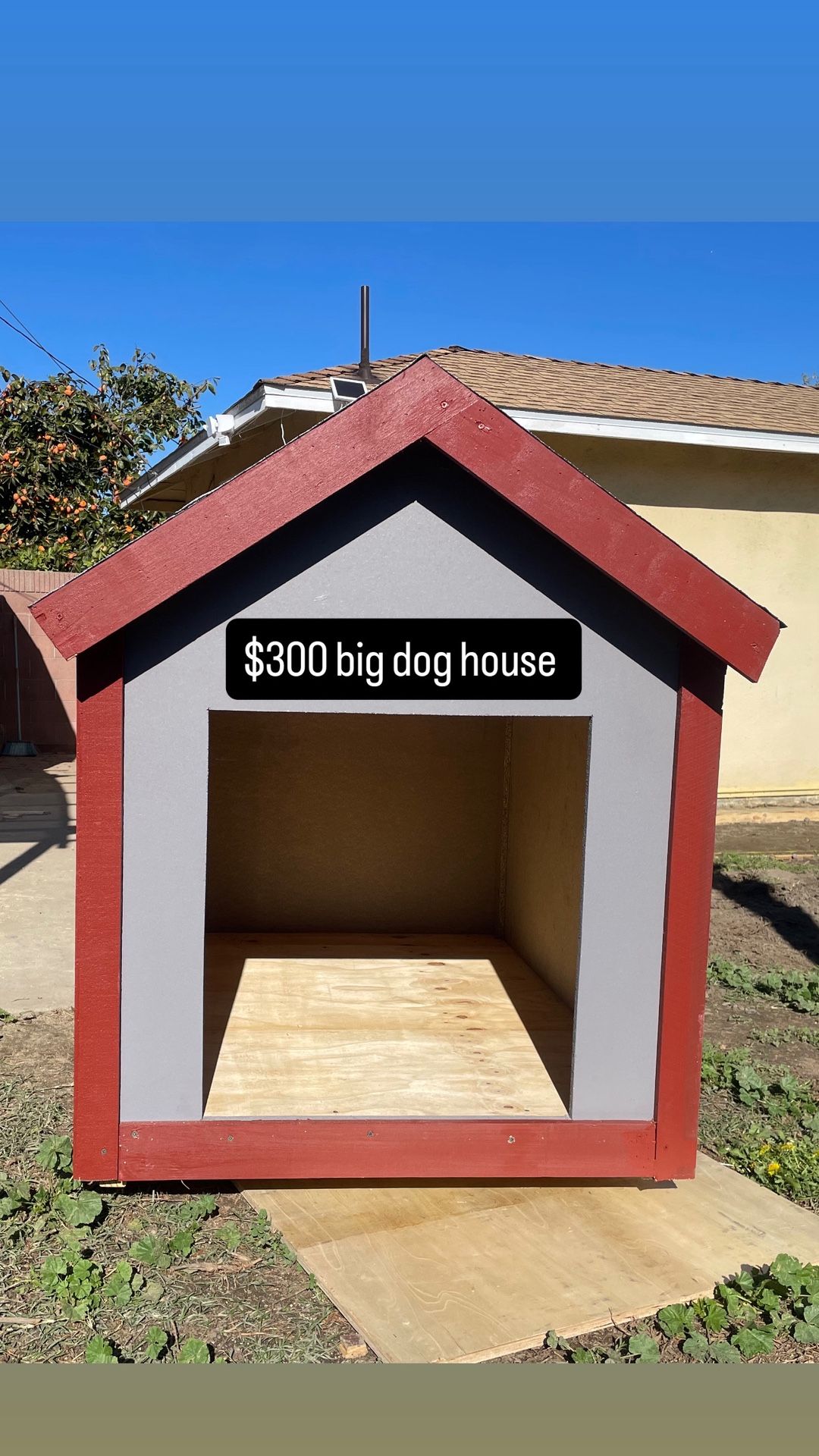 Dog House Hand Made Casa Para Perros Grande Large Dog Size Grande