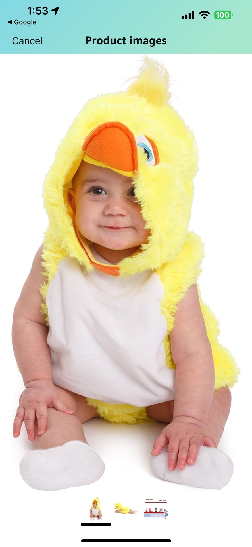 Infant baby duckling Costume 6-12 Mo