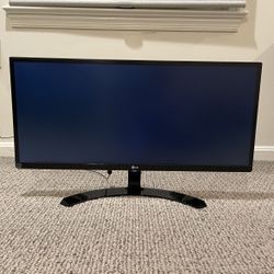 LG 29” UltraWide Monitor | Powers On, No Display | Easy Fix?
