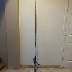 Penn Pursuit IV Fishing 