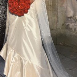 Demetrios Wedding Dress & Veil
