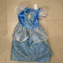 Disney Princess Cinderella Singing Dress