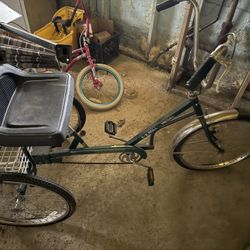 Ez Roll Regal Adult Tricycle