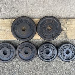 Standard Weight Plates 20 lbs