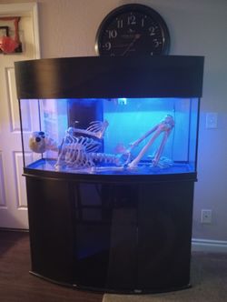 75 Gallon Curved Front Aquarium 