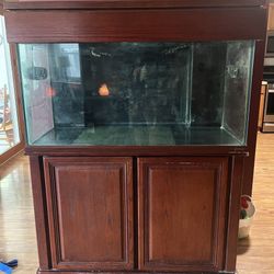 120gal Aquarium 