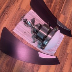 Ceiling Fan With Light