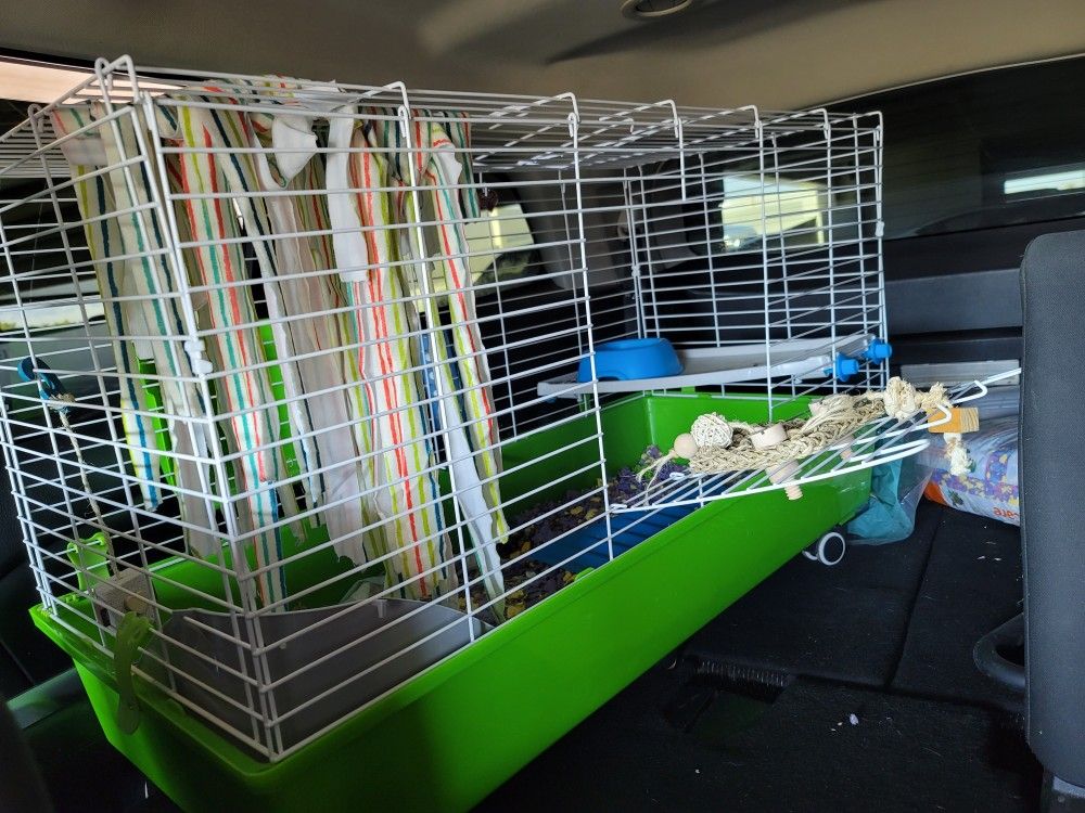 Cage For Guinea Pigs