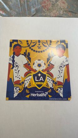 LA Galaxy Herbalife Promotional Art Print