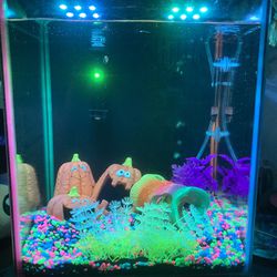 8 Gallon 7 Color Changing LED Fish Tank 