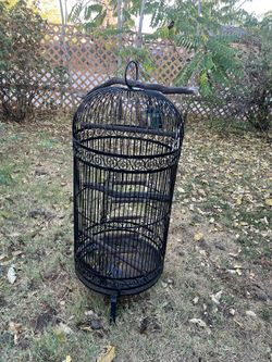 46 In Wrought Iron Bird Cage