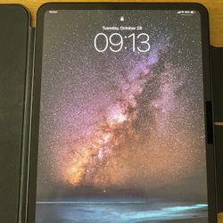 iPad M4 Wifi + Cellular  256 GB