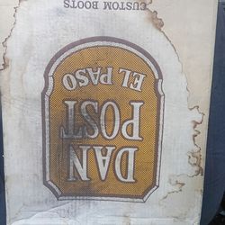 DAN POST GREY LIZARD BOOTS