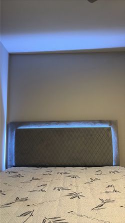 Bed frame with light