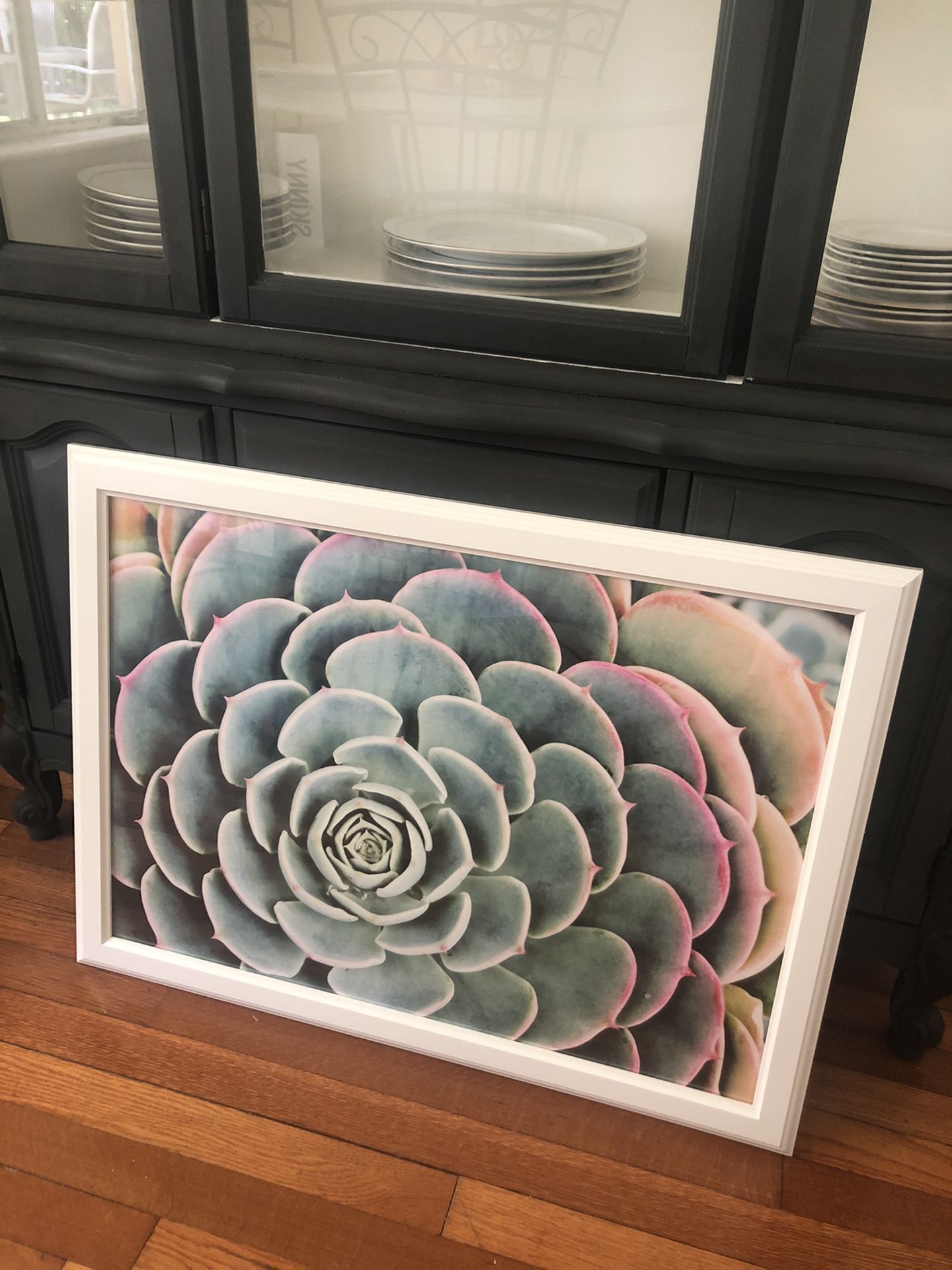 White Frame and Succulent Poster