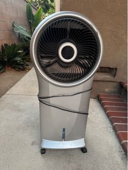 Fan