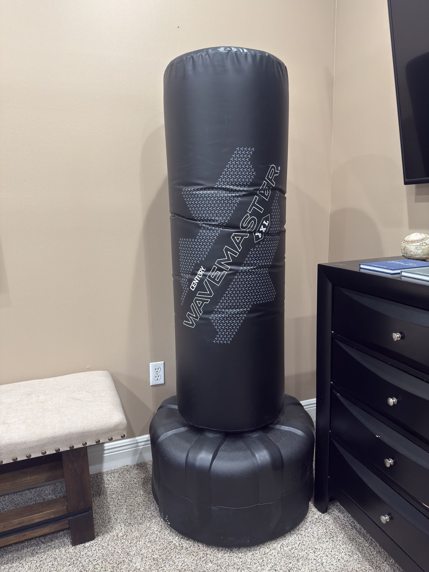 Punching/Kick Boxing bag