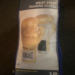 Everlast Wrist Strap Training Gloves 12oz.