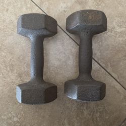 15lb Dumbbells
