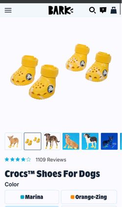 Dog crocs