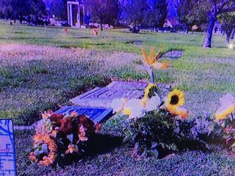 One Doble Grave X 2. Tumba Con Espacio Para 2 Incluye Un Ataúd ,féretro o Caja De Muerto Y El Epitafio.