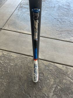Bat