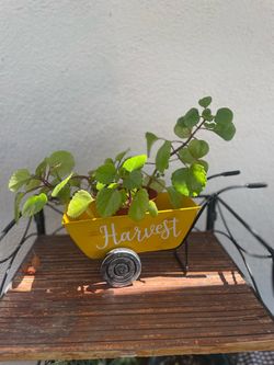 Harvest Wheelbarrow Planter Decor